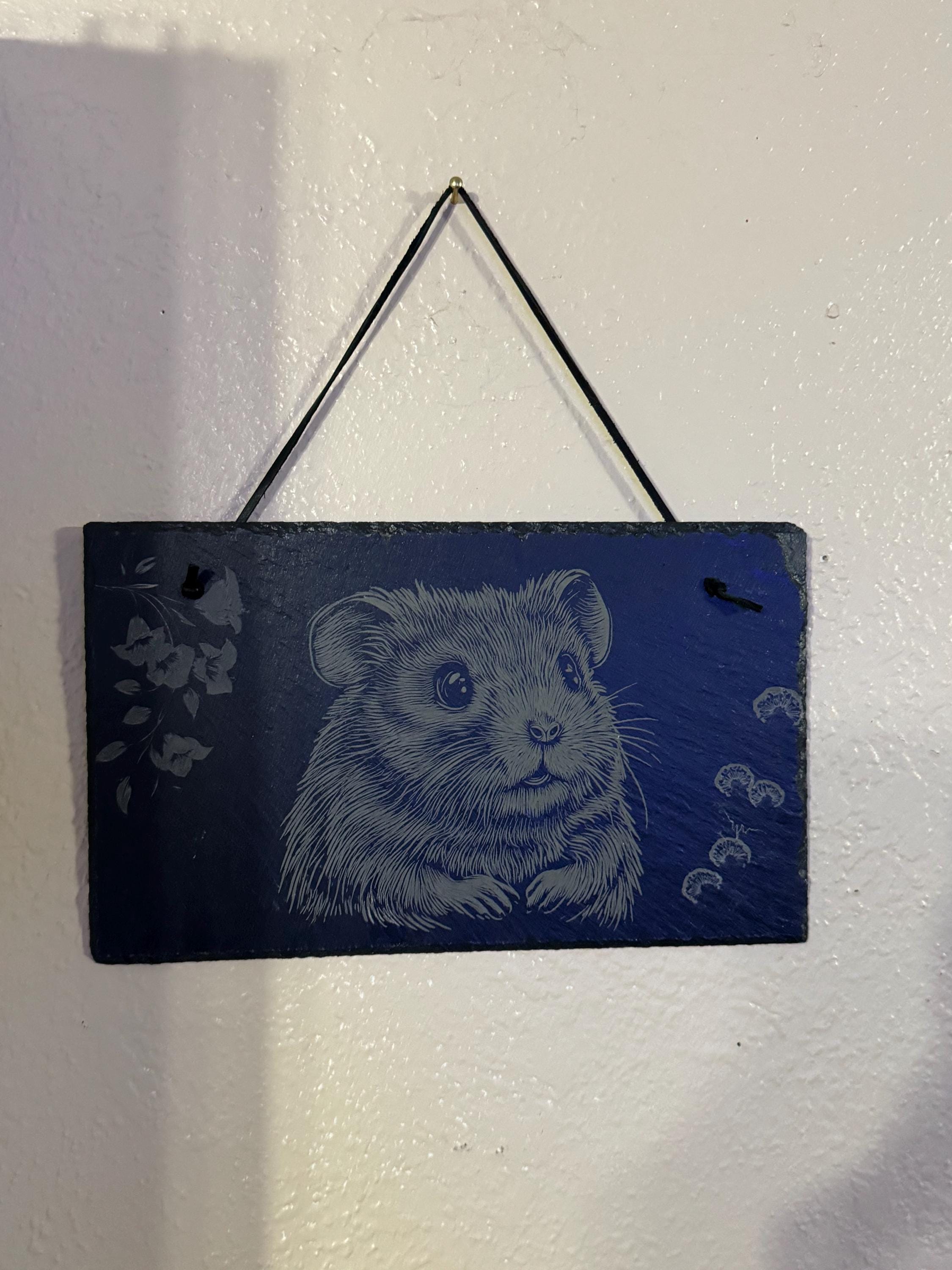 Slate Hanging Pictures, Fishing, Hamster, Flowers, Lighthouse,
